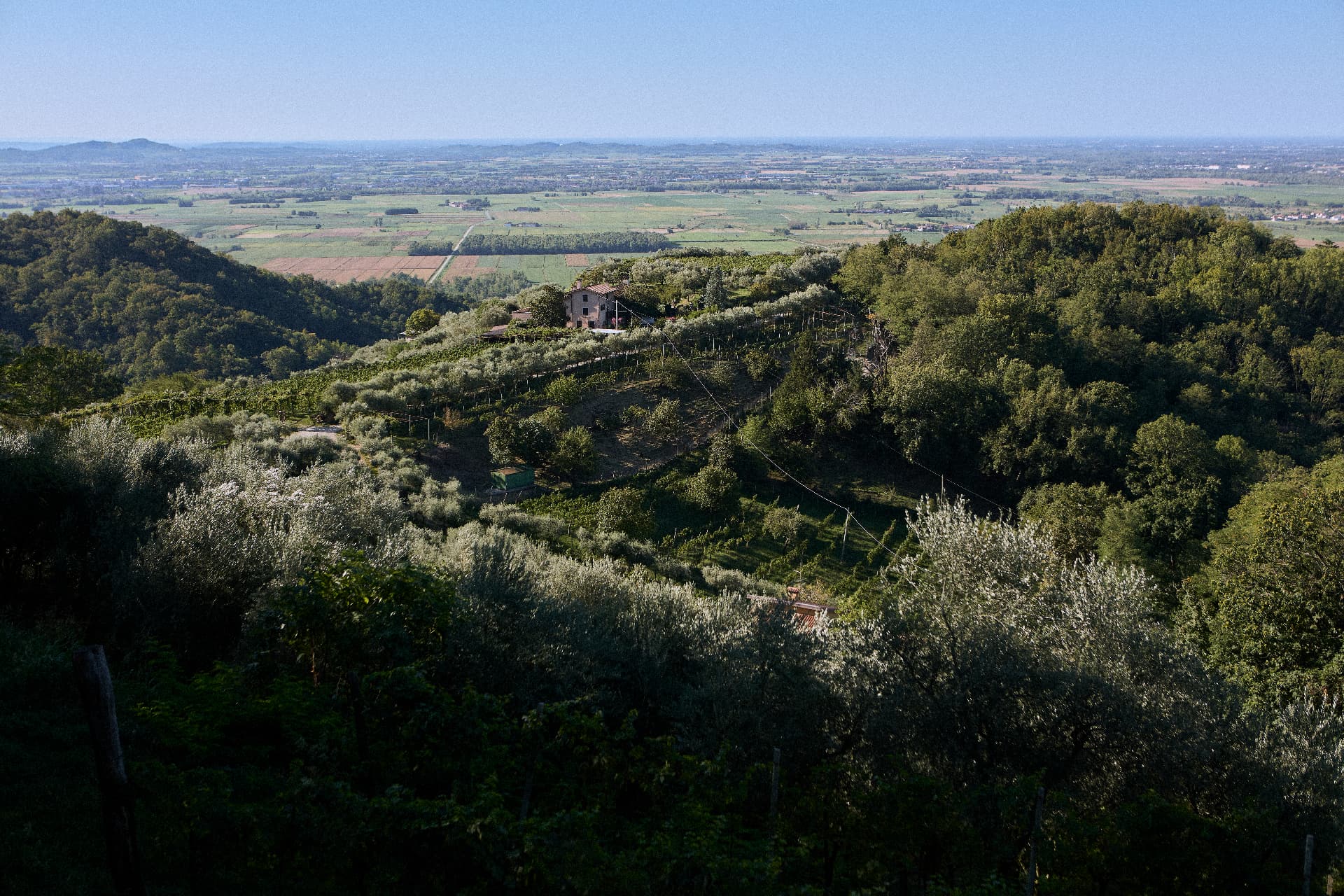 La casa di Campeglio tra gli ulivi, con la pianura sullo sfondo